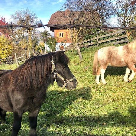 Feielhof Hotel Krakaudorf ภายนอก รูปภาพ