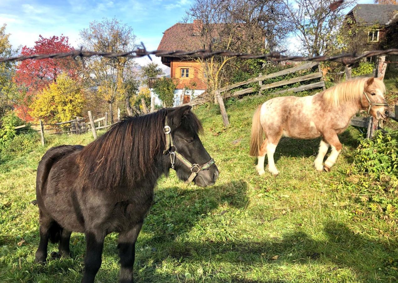 Feielhof Hotel Krakaudorf ภายนอก รูปภาพ