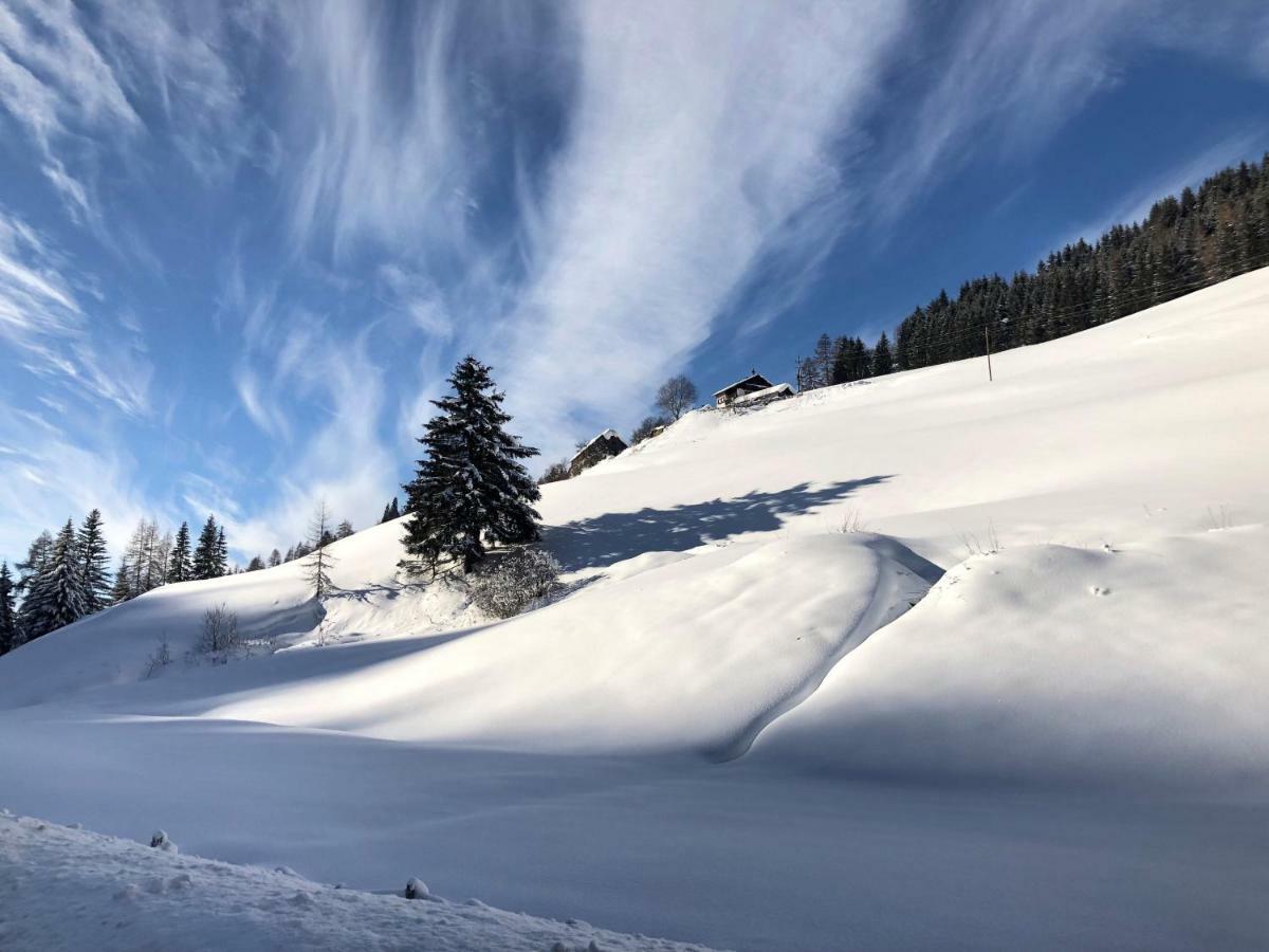 Feielhof Hotel Krakaudorf ภายนอก รูปภาพ