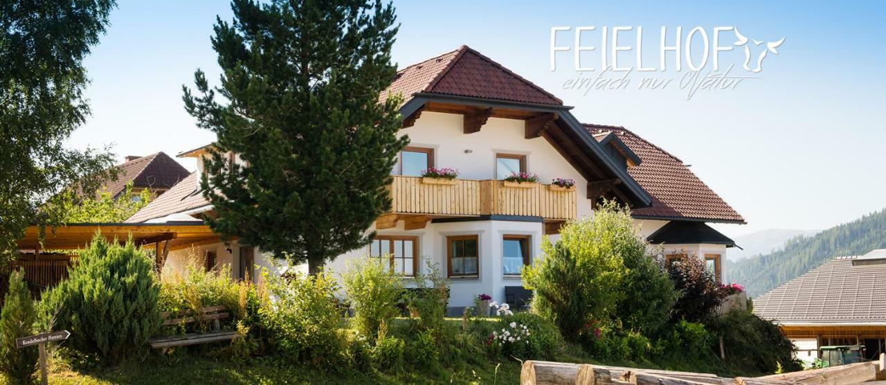 Feielhof Hotel Krakaudorf ภายนอก รูปภาพ